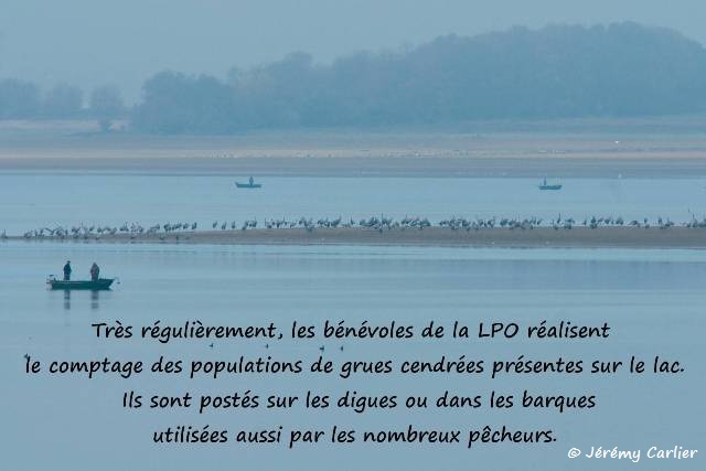 b10_Lac du Der-039tgw_GF.jpg